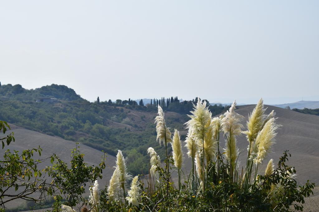 Appartamento Crete Senesi Castelnuovo Berardenga Exterior photo